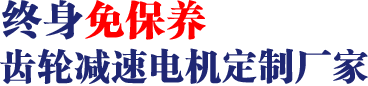 17年專注齒輪減速馬達(dá)、調(diào)速電機(jī)研發(fā)、生產(chǎn)